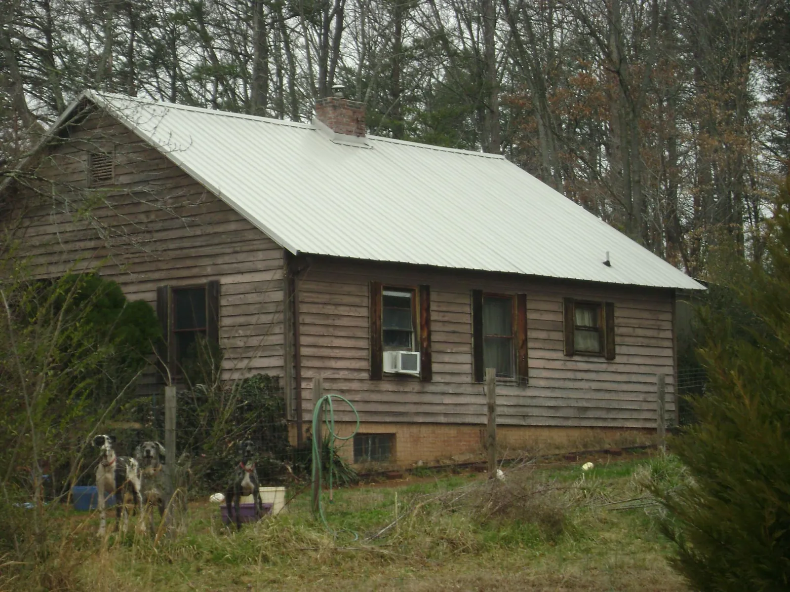 White metal roof on an old wood sided farmhouse, from a Asphalt Shingle Roof Repair job in Canyon Dam